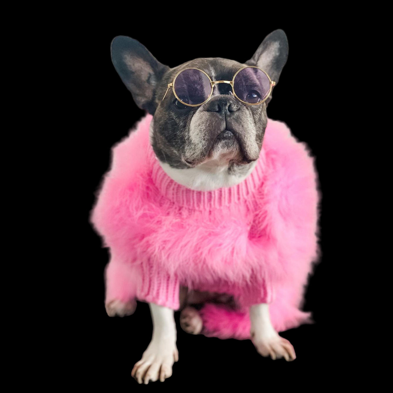 Dog wearing a pink fluffy sweater and sunglasses on a wooden floor.