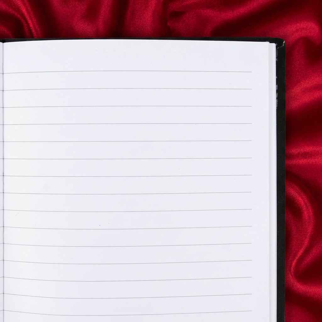 Little Book of Evil Plans Velvet Journal - Lucky Girl Gifts