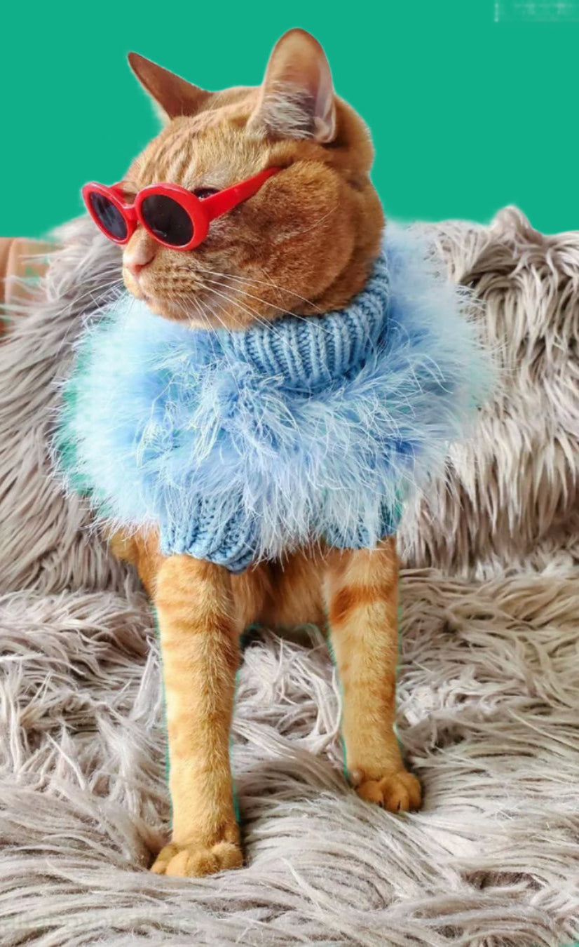 Cat wearing a blue sweater and red sunglasses on a fluffy surface