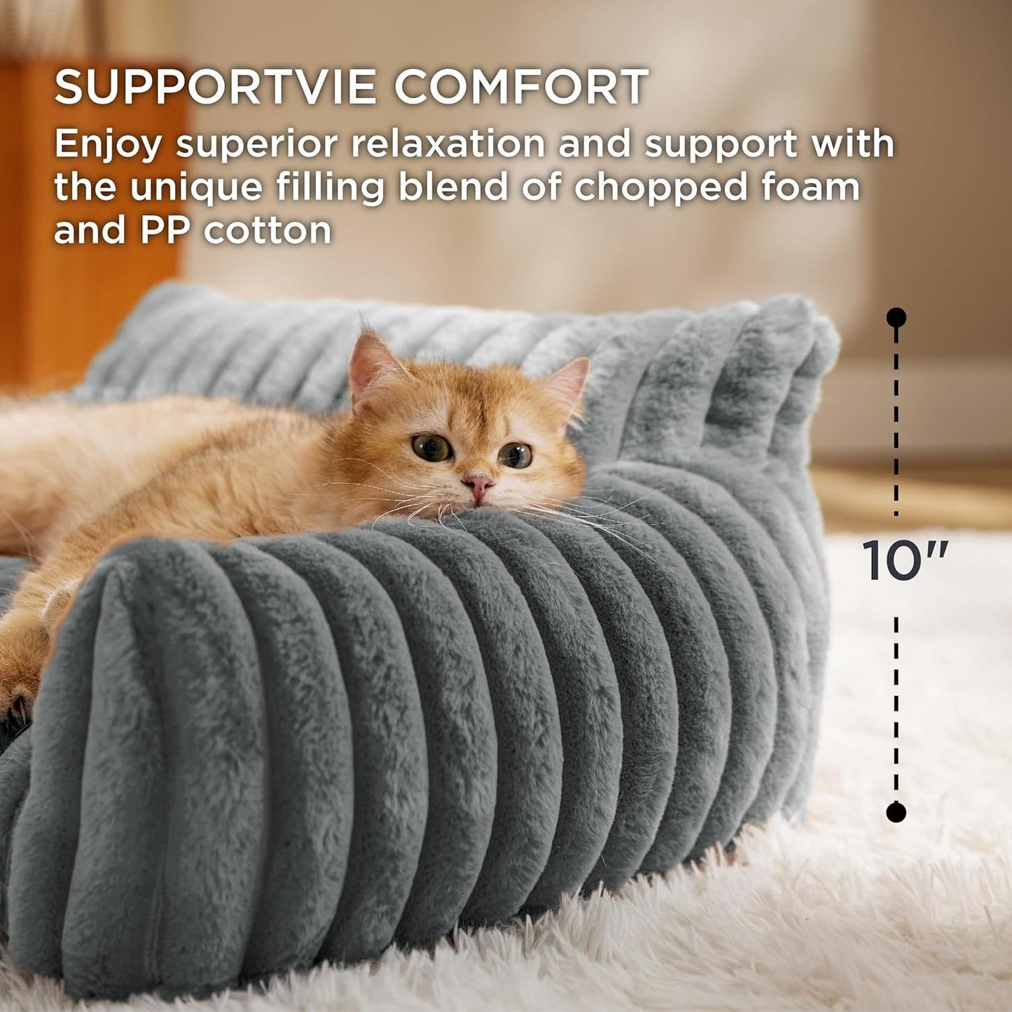 Cat lying on a gray pet bed with text about support and comfort.