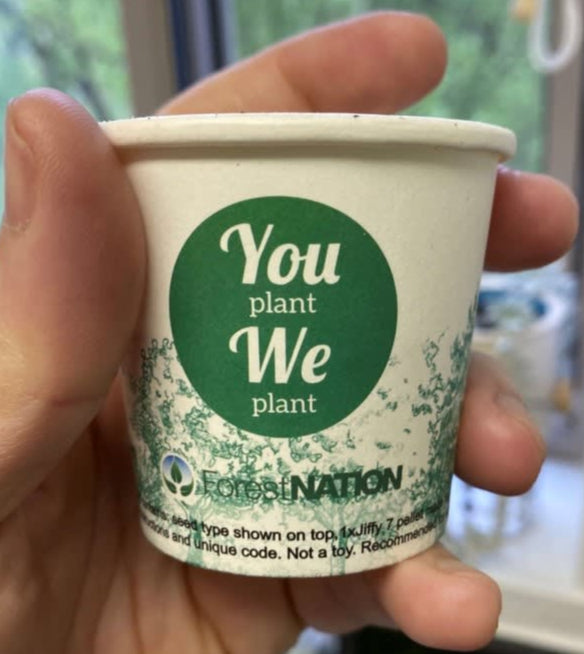 Hand holding a paper cup with 'You plant, We plant' text and Forest Nation branding.