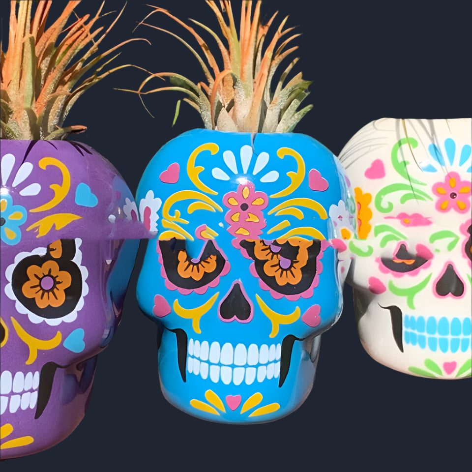 Day Of The Dead Skeleton Succulent Planter Pots Colorful Painted Skulls Halloween Decor