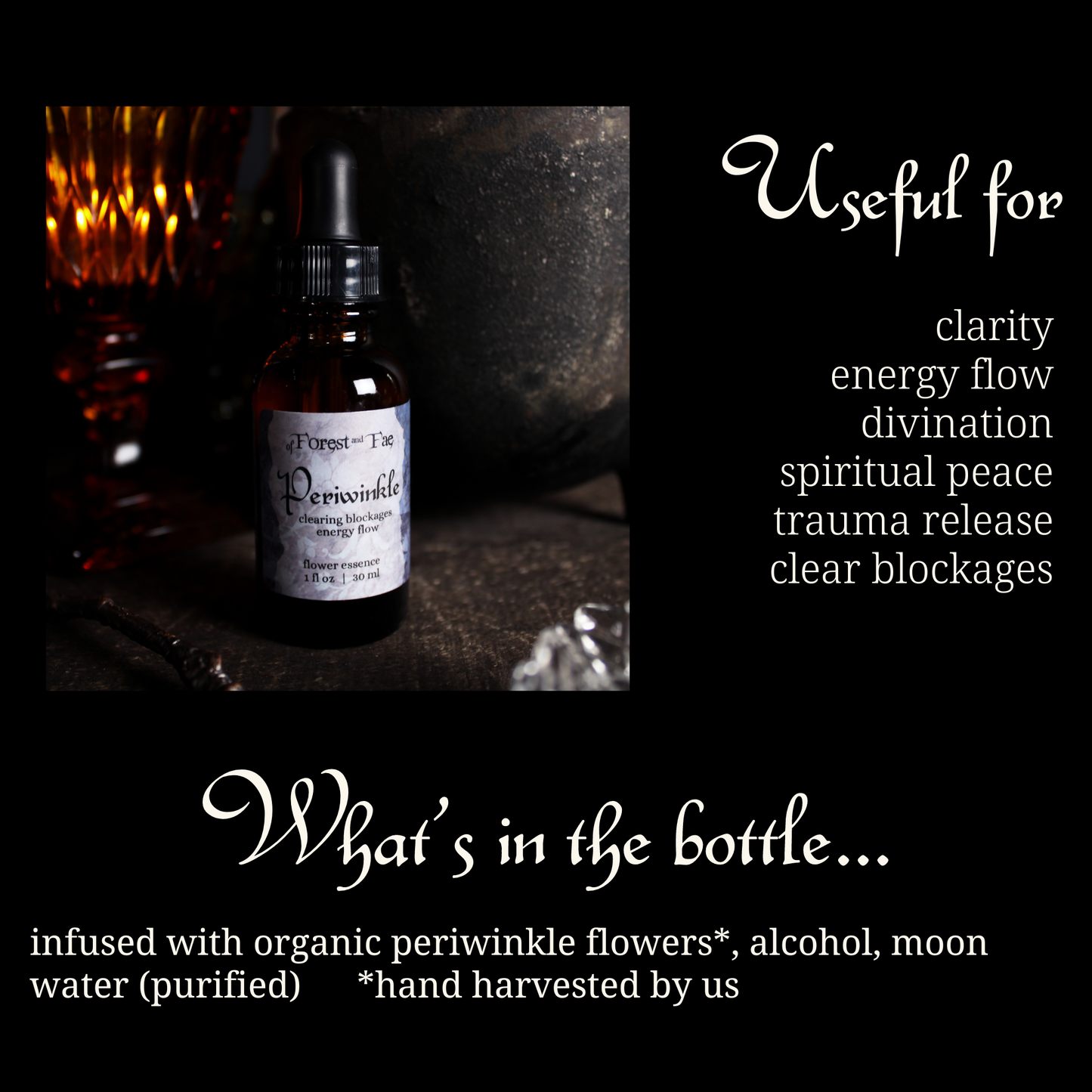 Energy Flow Periwinkle Flower Essence for Witchy Intuition - Lucky Girl Gifts