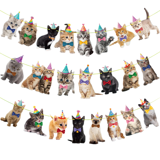 Multiple cats wearing party hats and bow ties on a string against a white background