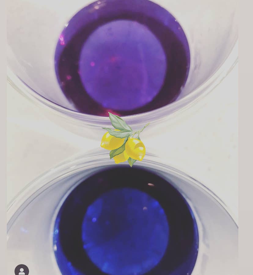 Organic Butterfly Tea-3