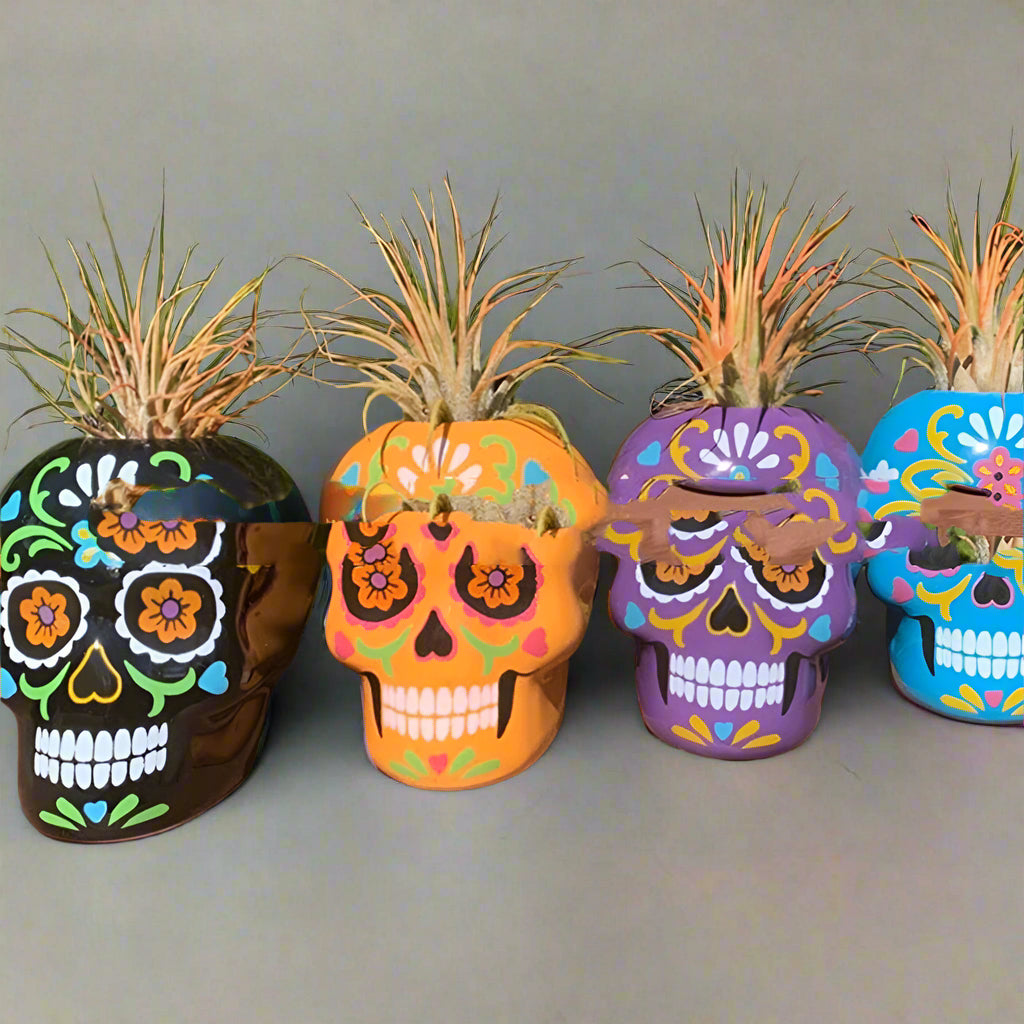 Day Of The Dead Skeleton Succulent Planter Pots Colorful Painted Skulls Halloween Decor