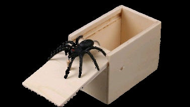 Wooden box with a black spider on a gray background