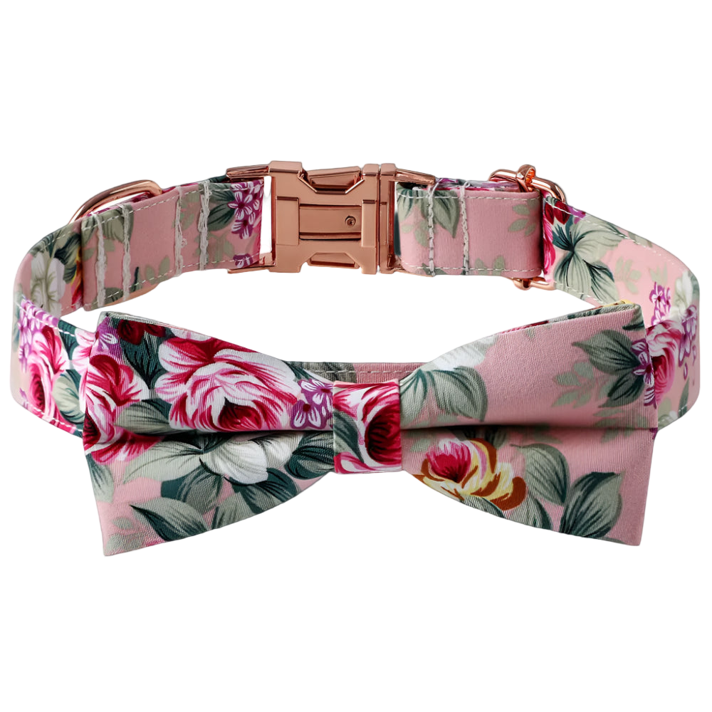 Floral patterned dog collar with a rose gold buckle on a white background