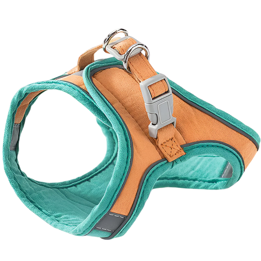 Dog harness with teal front and brown back on a white background