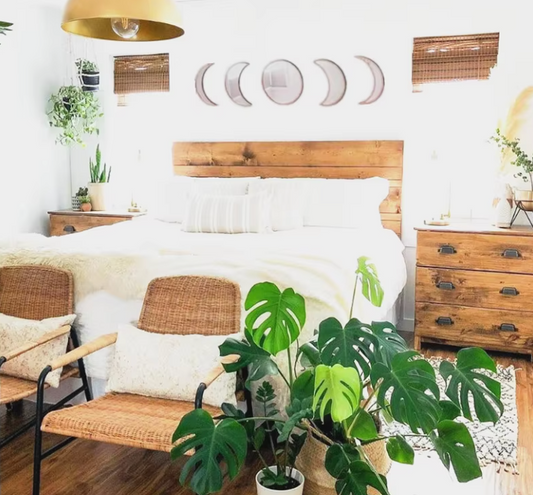 Cozy bedroom with wooden furniture, plants, and a lamp.
