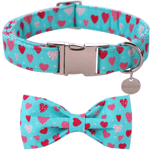 Dog collar and bow tie set with heart pattern on a turquoise background