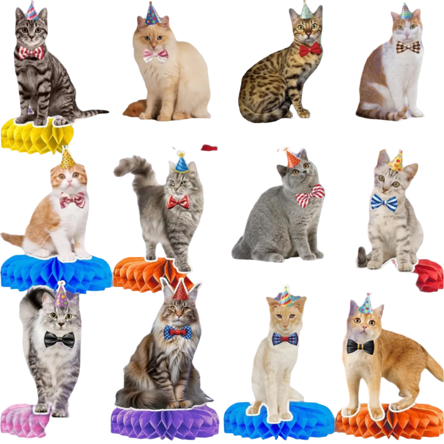 Multiple cats wearing party hats and bow ties on colorful stands.