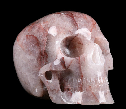 Marble-like skull sculpture on a white background