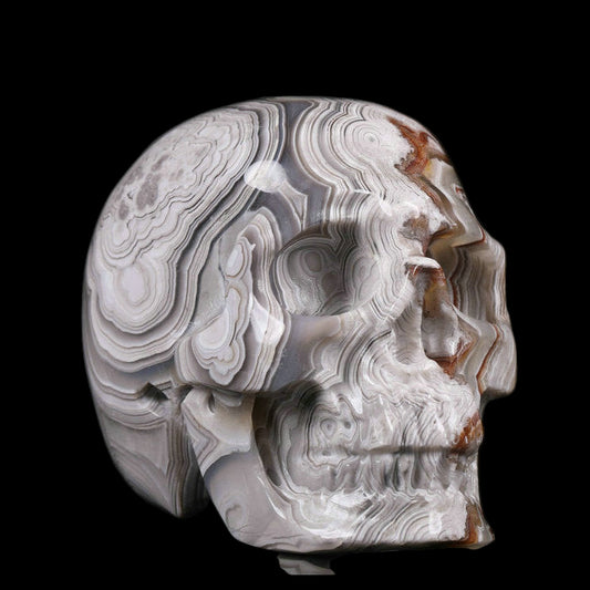 Marble-like skull sculpture on a black background