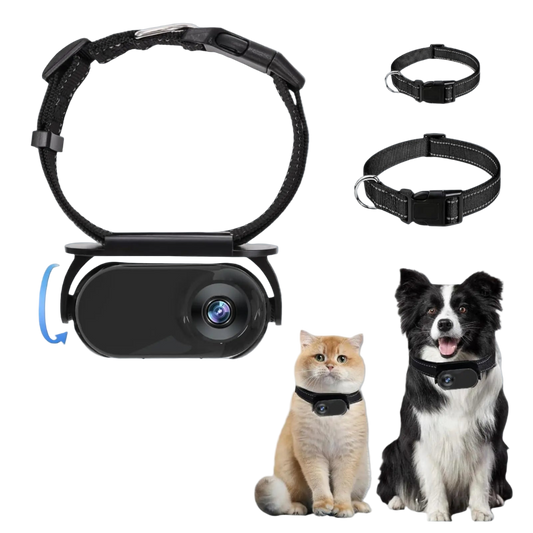 Pet collars with a camera attachment on a white background