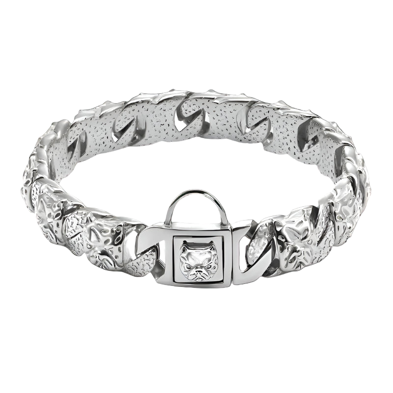 Silver bracelet with a lock clasp on a white background