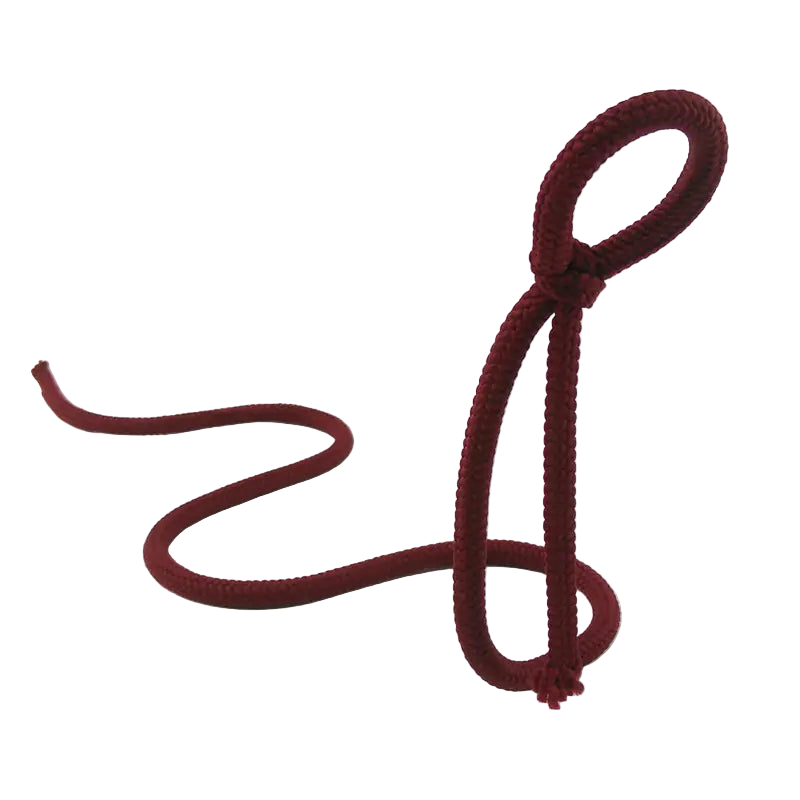 Maroon shoelace on a white background