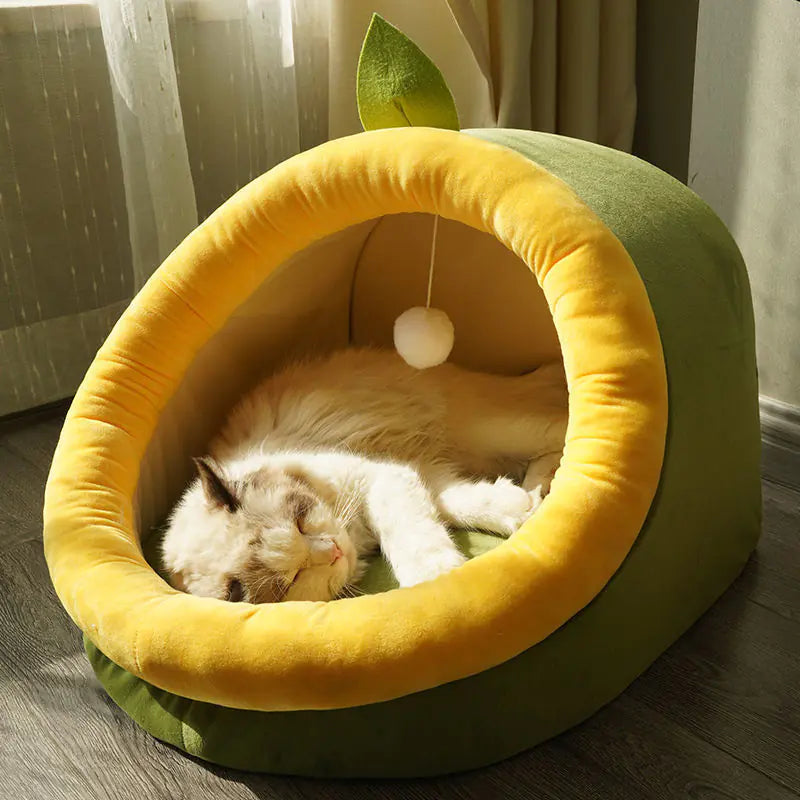 Cat lying inside a green and yellow pet bed shaped like a pineapple.
