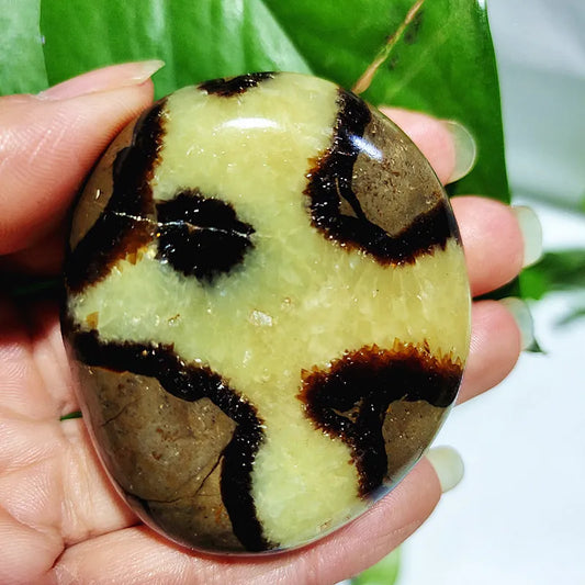 Hand holding a polished stone with brown and beige patterns against a green leaf background