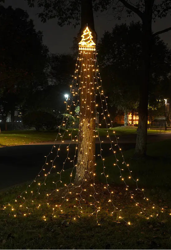 Tree decorated with string lights in a park at night