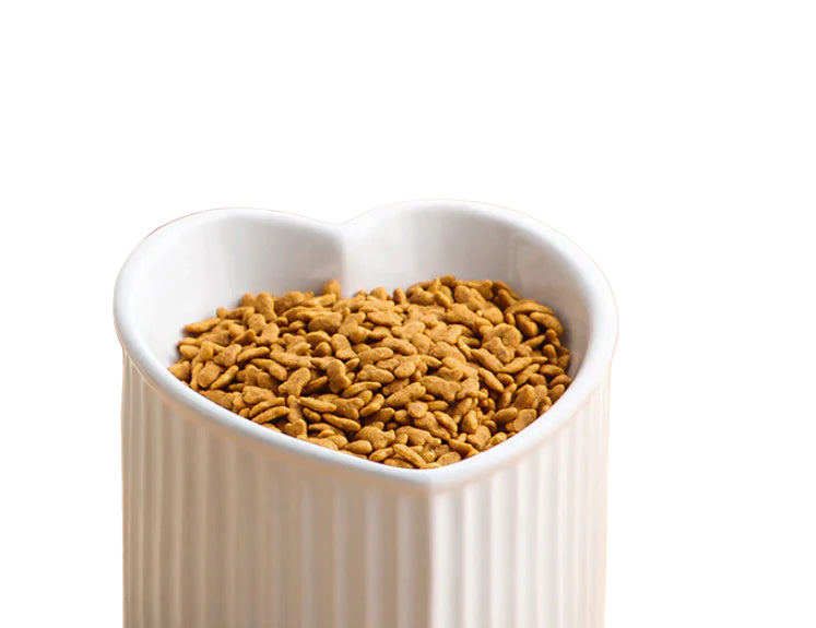 Heart-shaped white bowl filled with pet food on a wooden surface