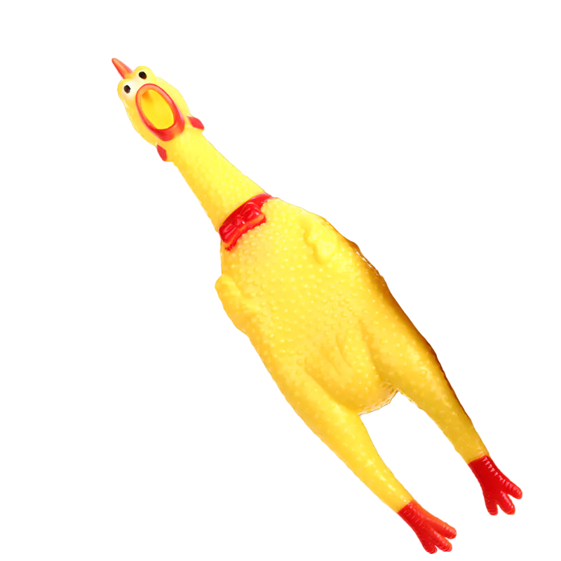 Yellow rubber chicken toy held by a hand on a white background