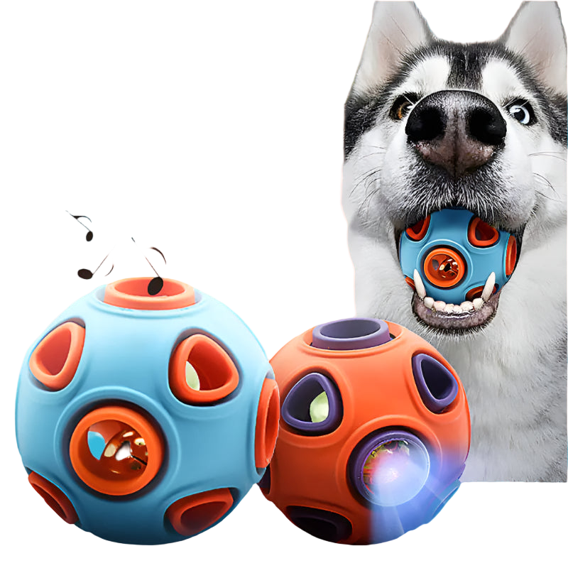 Two dog toys, one blue and one orange, with a dog holding the blue toy in its mouth.
