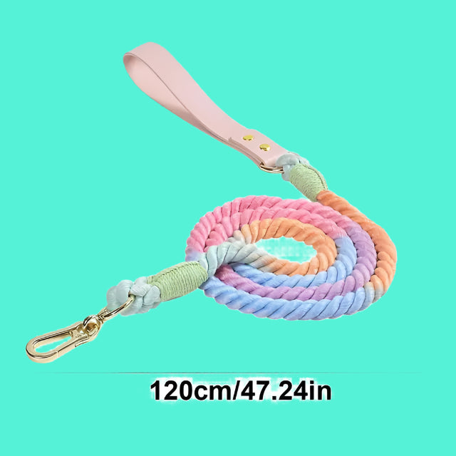 Colorful dog leash with pink handle on a white background