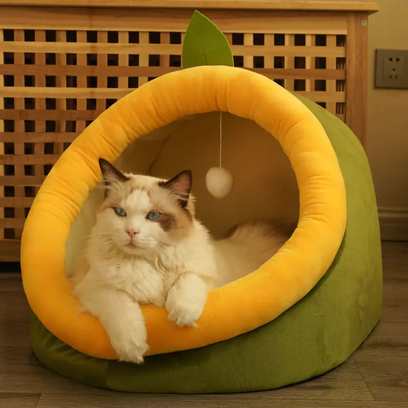 Cat lying inside a green and yellow pet bed with a wooden background