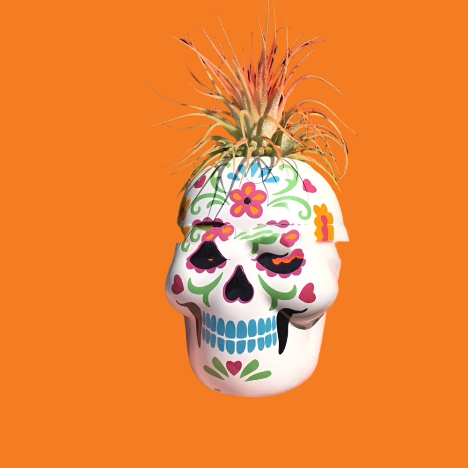 Day Of The Dead Skeleton Succulent Planter Pots Colorful Painted Skulls Halloween Decor