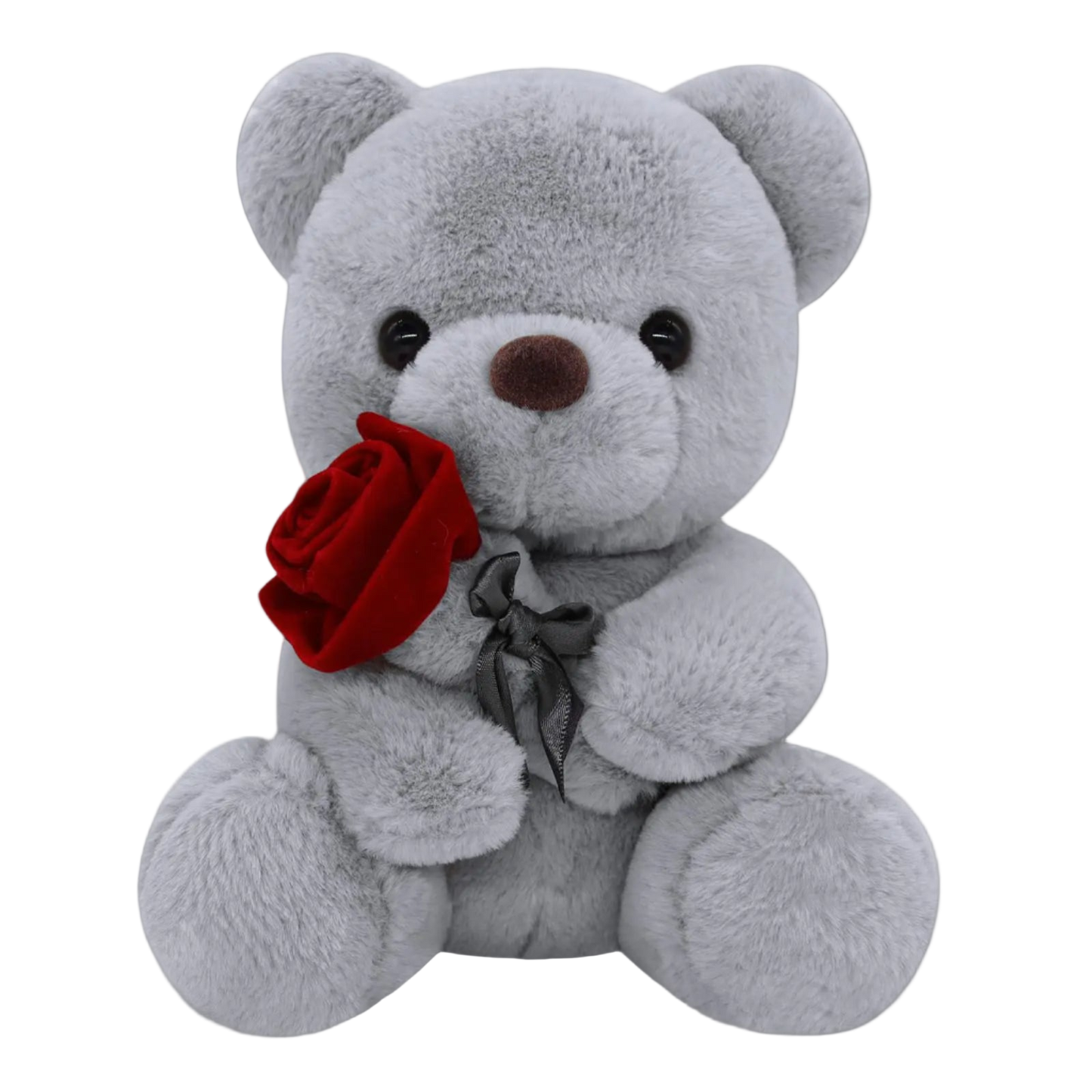 Gray teddy bear holding a red rose on a white background