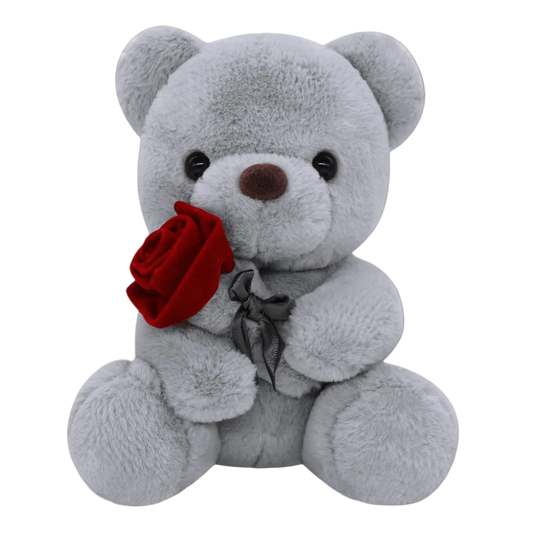 Gray teddy bear holding a red rose on a white background
