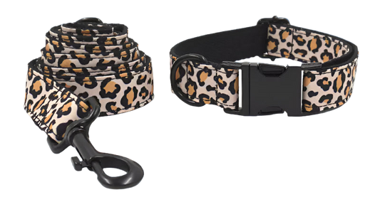 Leopard print dog collar and leash set on a white background