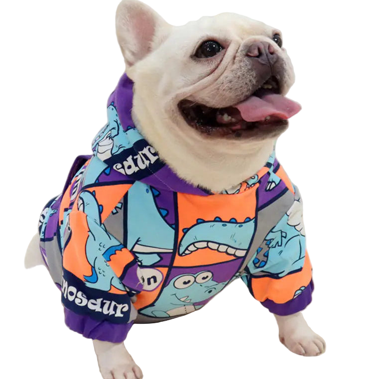 Dog wearing a colorful dinosaur-themed hoodie on a white background