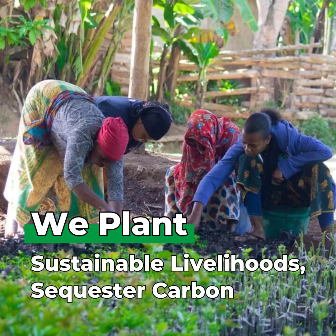 Four people working in a garden with text about sustainable livelihoods and carbon sequestration.