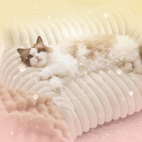 Cat lying on a plush, beige pet bed with a soft texture.