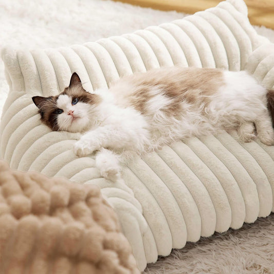 Cat lying on a plush, beige pet bed with a soft texture.