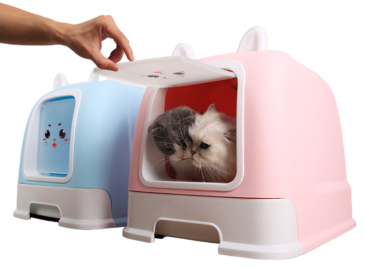 Pink pet litter box with a cat peeking out, next to a blue one on a wooden floor.