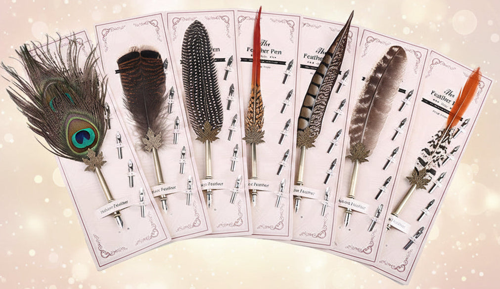 Set of feather pens on cards with a white background