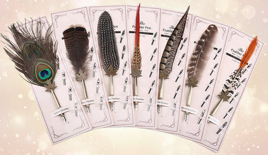 Set of feather pens on cards with a white background