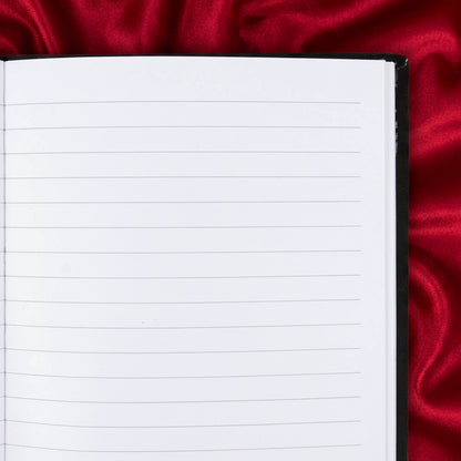 Little Book of Evil Plans Velvet Journal