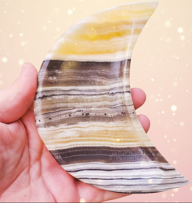 Hand holding a semi-precious stone with layered patterns against a green plant background