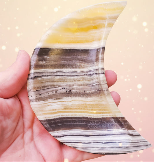 Hand holding a semi-precious stone with layered patterns against a green plant background