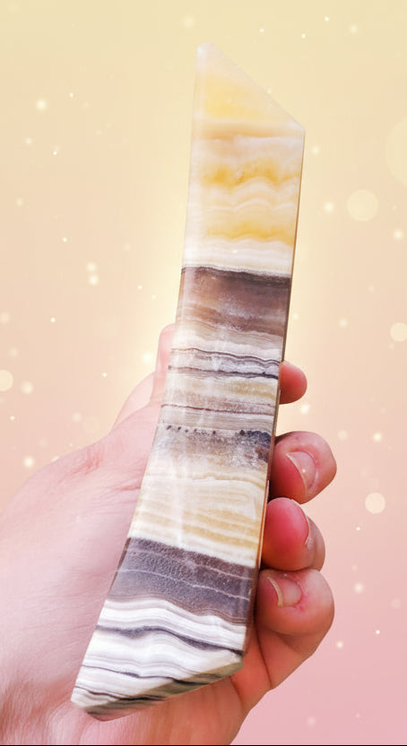 Hand holding a multicolored striped stone in front of green foliage