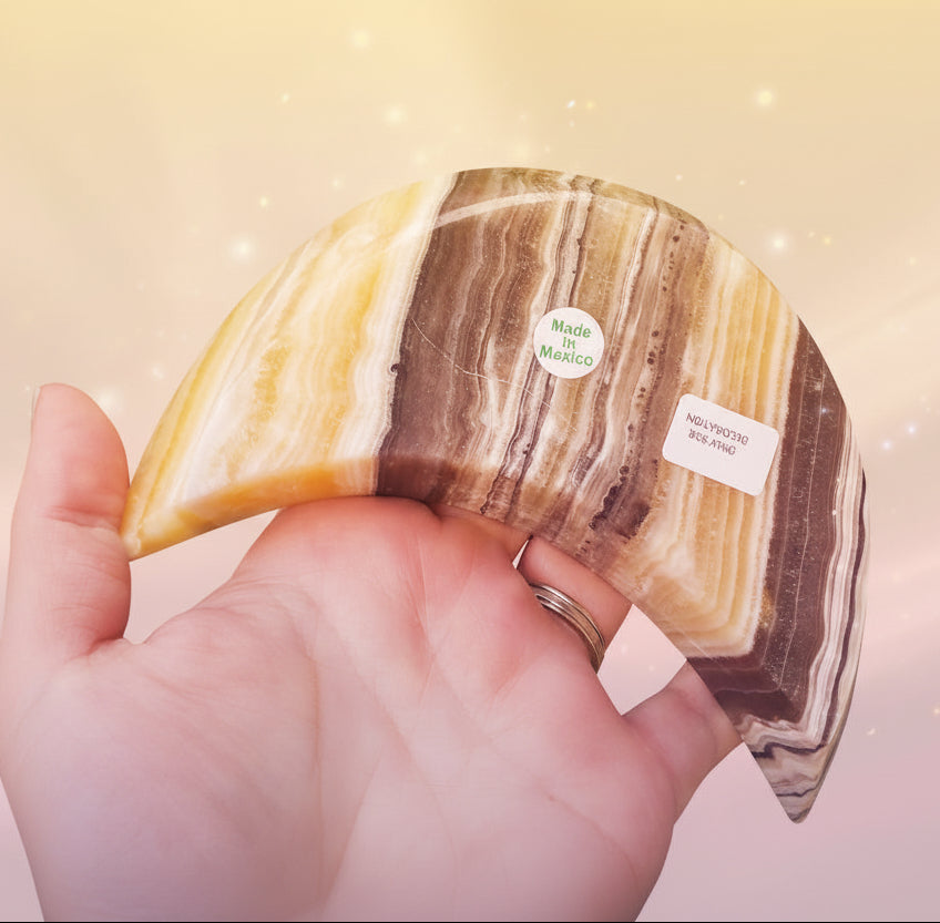 Hand holding a semi-precious stone with labels, against a green plant background