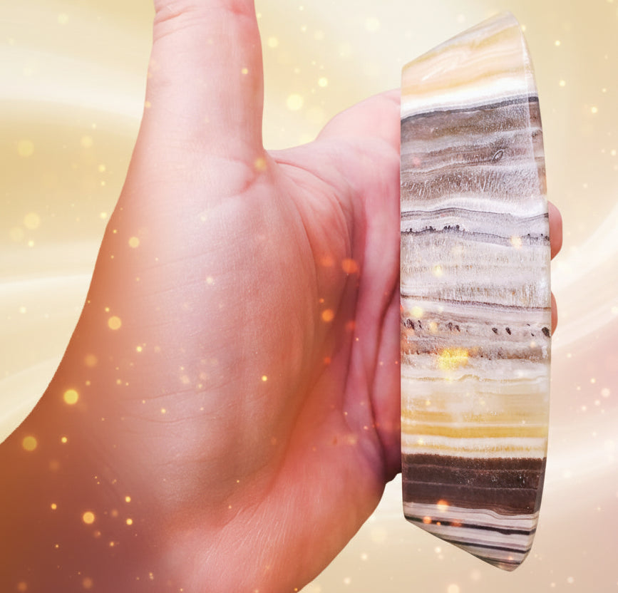 Hand holding a striped stone with green foliage in the background
