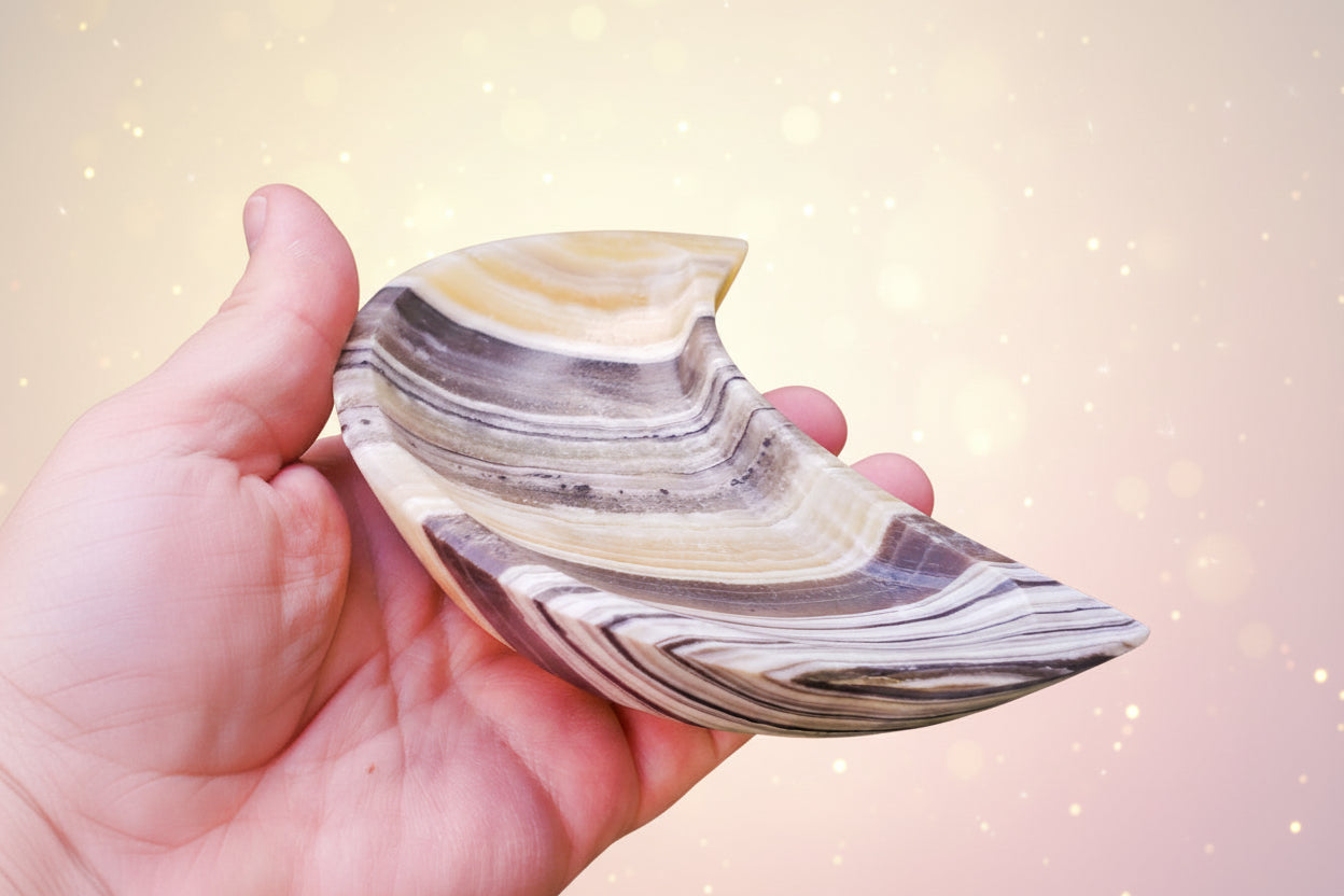 Hand holding a shell with striped pattern against a green plant background