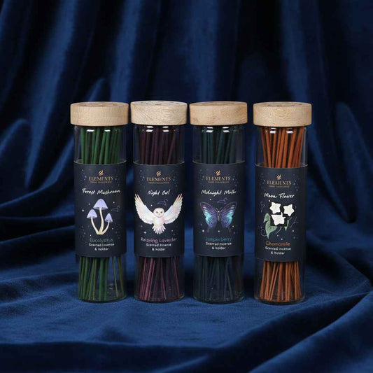 Midnight Forest Incense Sticks in Display Tube