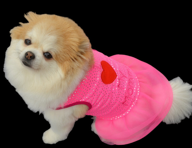 Small dog wearing a pink outfit with a red heart on a gray background
