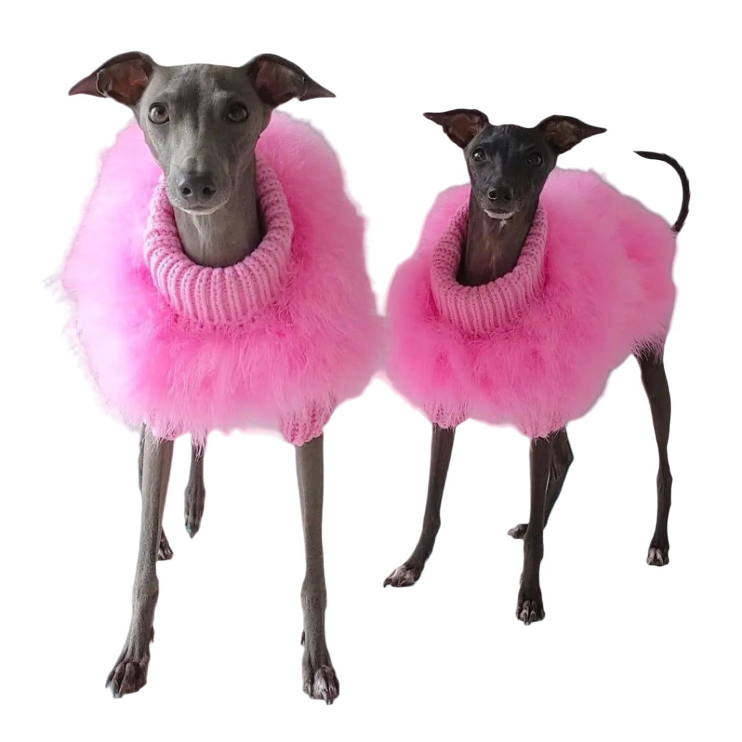 Two dogs wearing pink fluffy collars on a white background